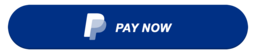 PayPal Pay Now Button